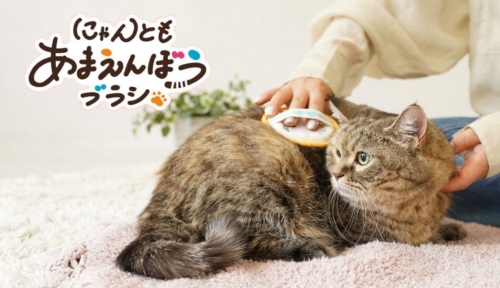 猫舌触感のエチケットブラシ生地を使用！ 猫用グルーミング商品が新登場！
