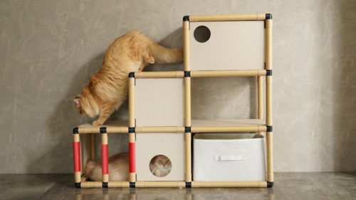 紙管で出来た猫にも人にも優しいキャットステップ 「にゃんグルジム」のご紹介